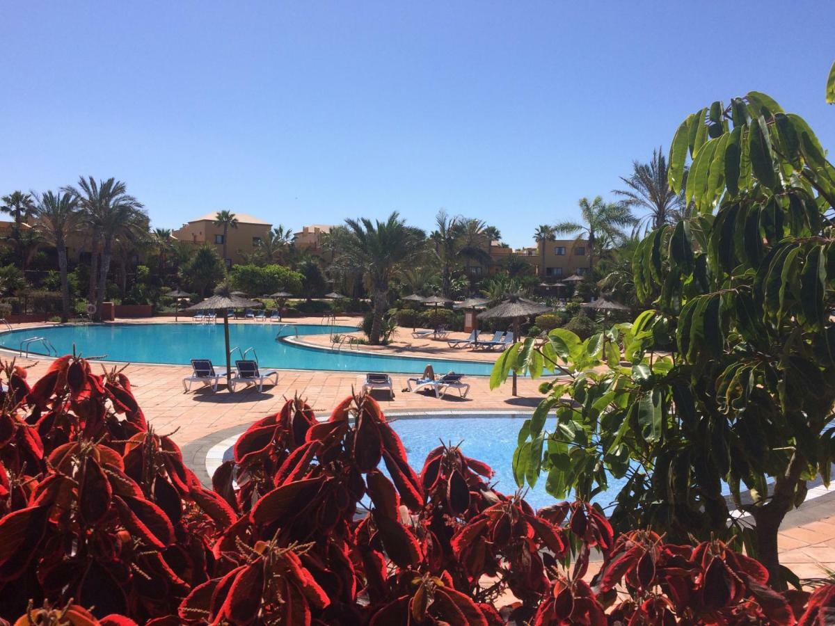 My Pretty Home - Lovely And Spacious Surrounded By Tropical Gardens - Private Covered And Uncovered Terrace - Pool - Parking - Free Fibre Optic Internet Коральео Экстерьер фото